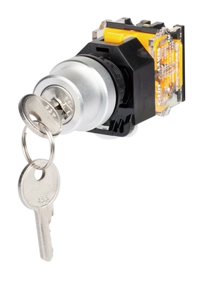 LAN38 Series Push Button Switch