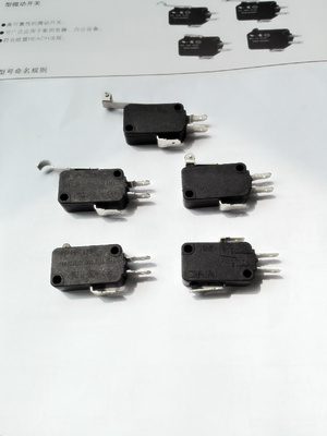 NV Series microswitch